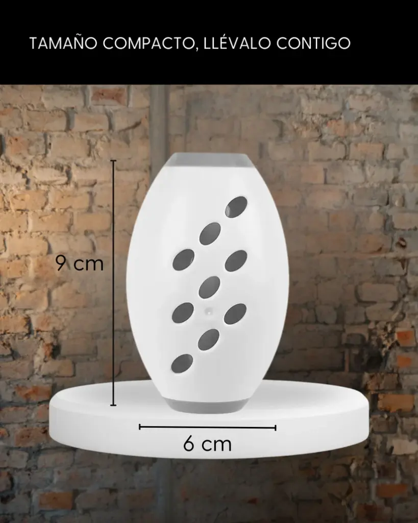 ECO ROLL Medidas.webp